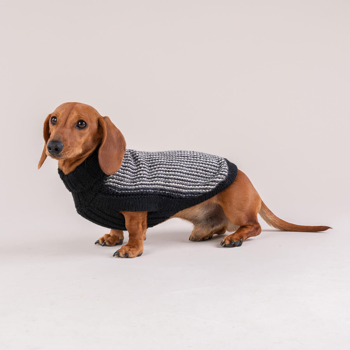 Alqo Wasi Dog Sweater Popcorn