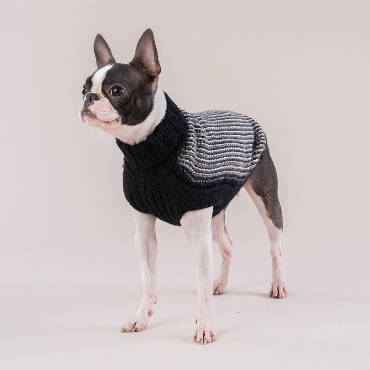 Alqo Wasi Dog Sweater Popcorn