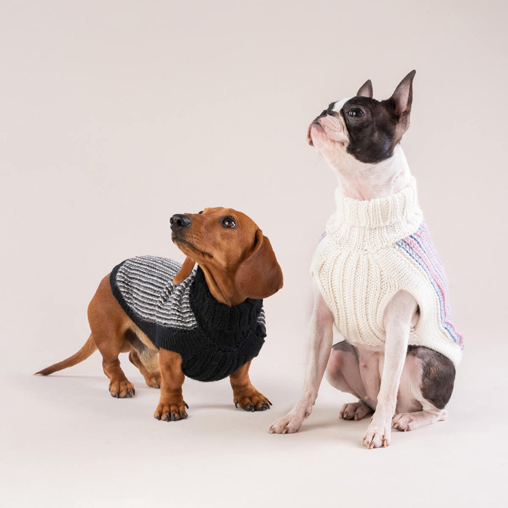Alqo Wasi Dog Sweater Popcorn