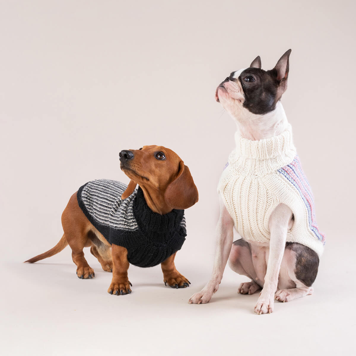 Alqo Wasi Dog Sweater Popcorn