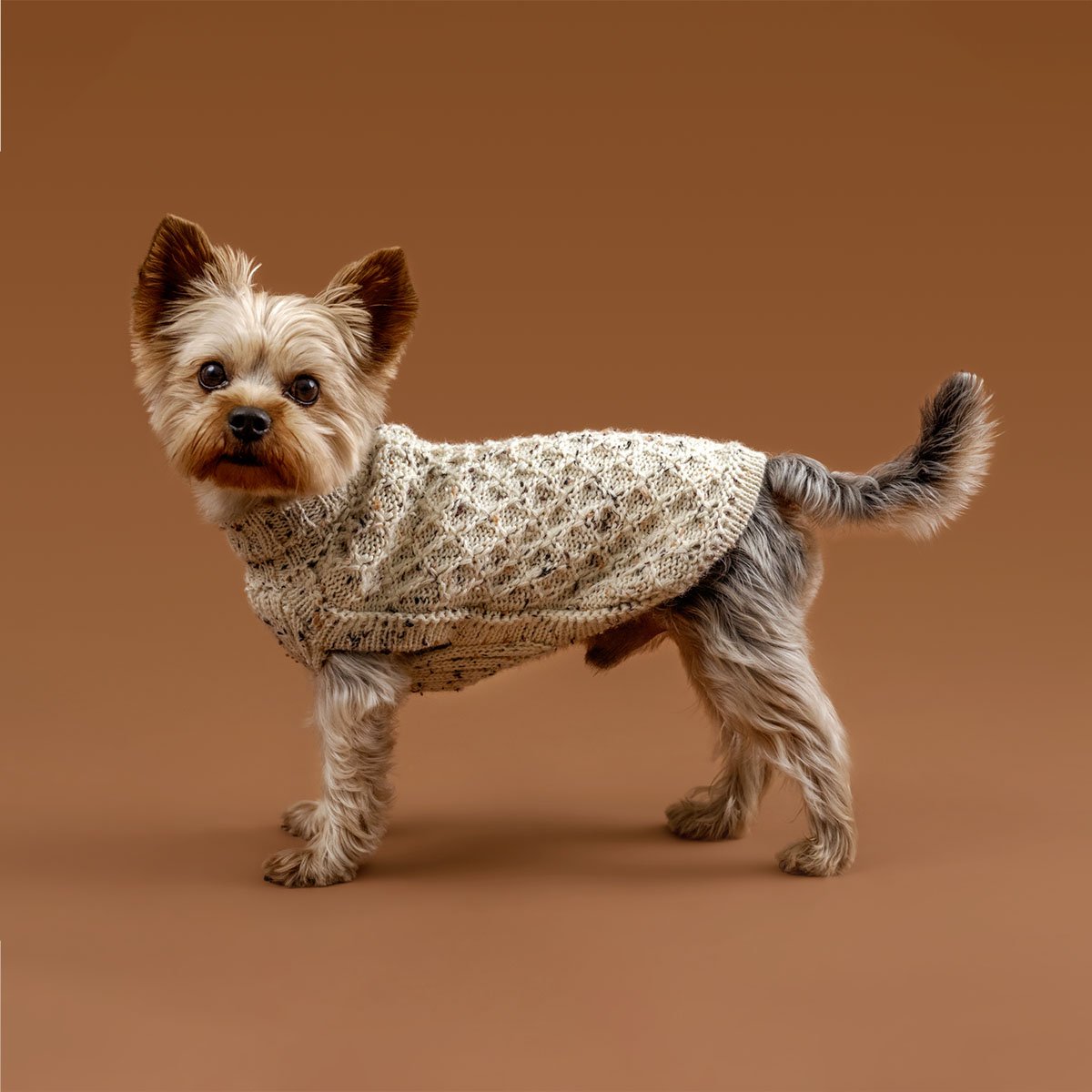 Alqo Wasi Hundepullover Speckled Ivory