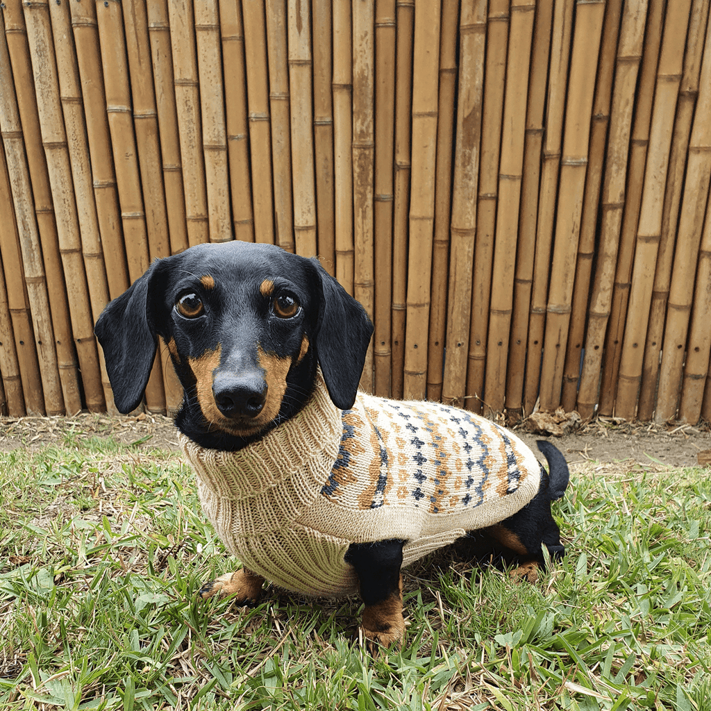 Alqo Wasi Dog Sweater Golden Dreams