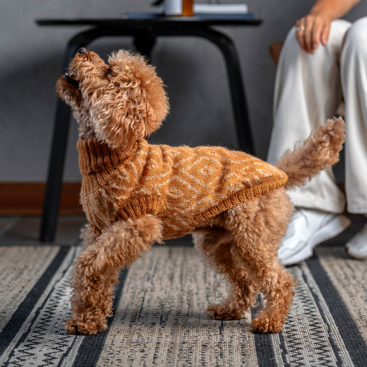 Alqo Wasi Hundepullover Golden Ochre