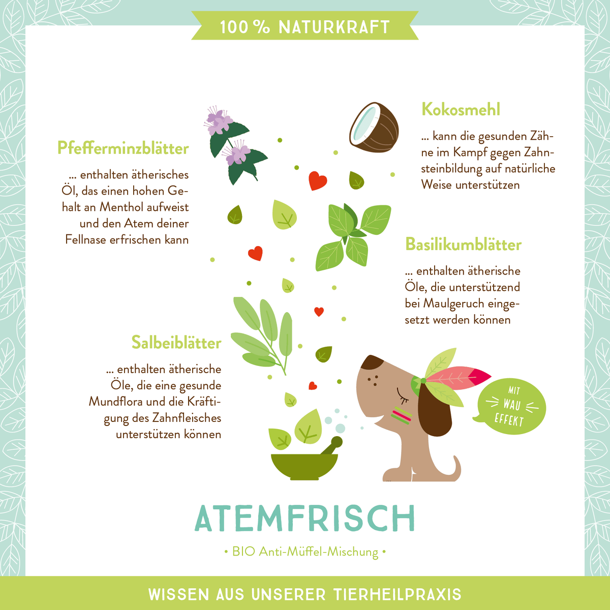 AniCanis Bio-Kräutermischung Atemfrisch