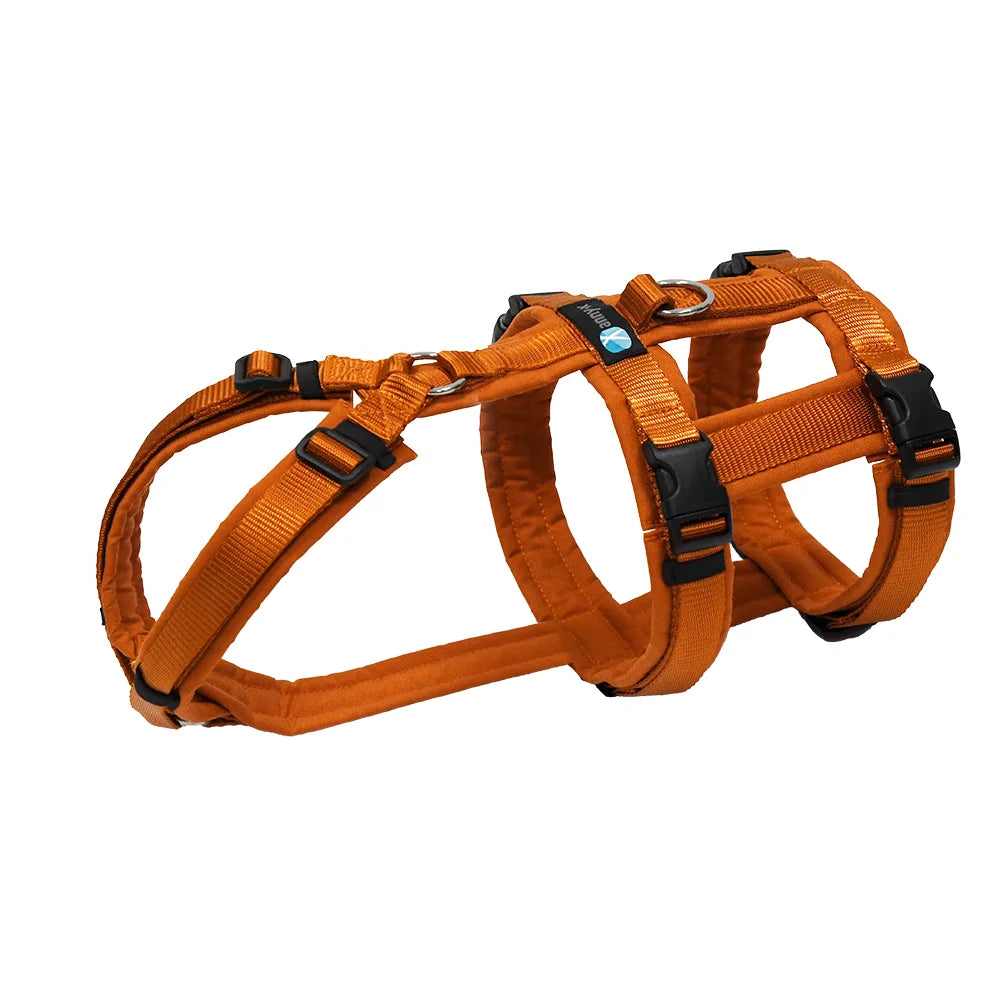 AnnyX Hundegeschirr Safety Fun (Diverse Farben)
