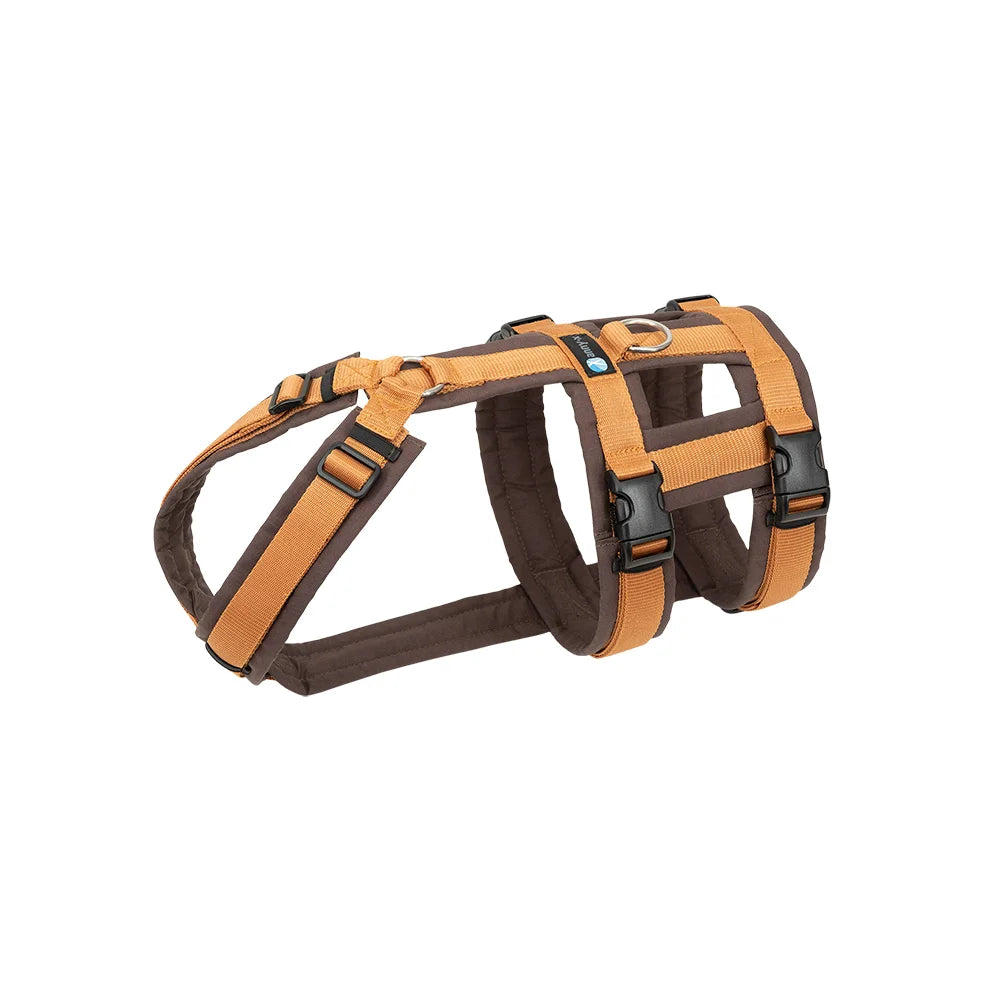 AnnyX Hundegeschirr Safety Fun (Diverse Farben)