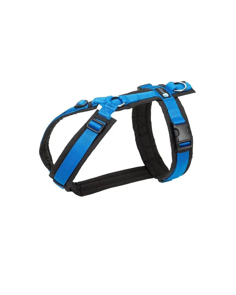 AnnyX Hundegeschirr Fun (Diverse Farben)