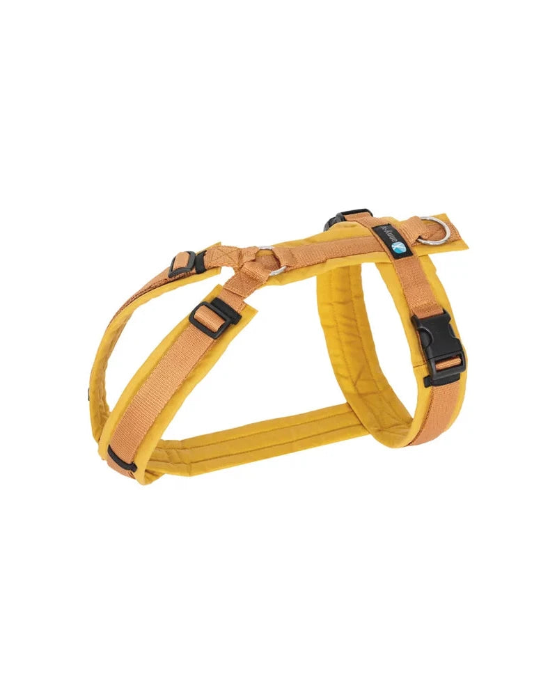AnnyX Hundegeschirr Fun (Diverse Farben)