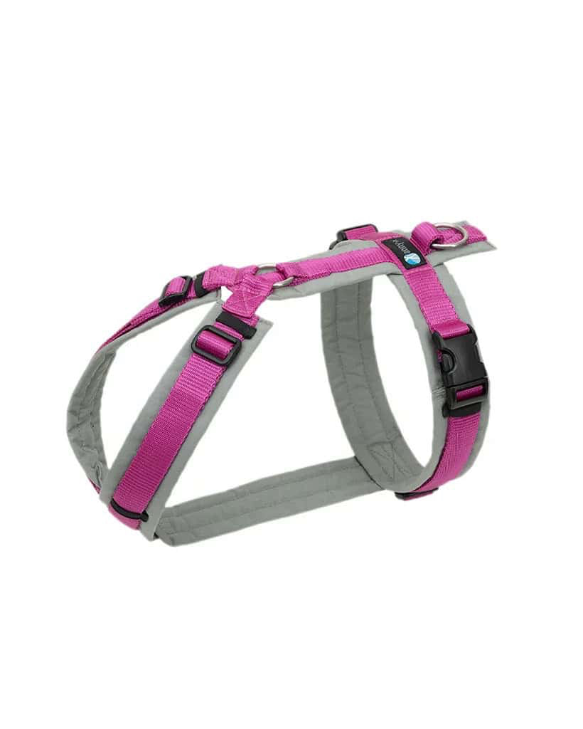 AnnyX Hundegeschirr Fun (Diverse Farben)