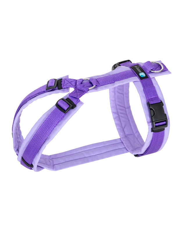 AnnyX Hundegeschirr Fun (Diverse Farben)