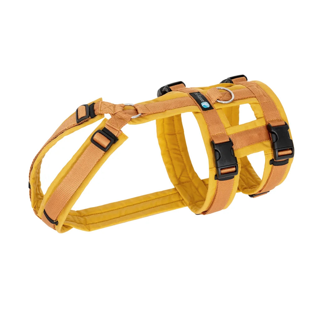 AnnyX Hundegeschirr Safety Fun (Diverse Farben)