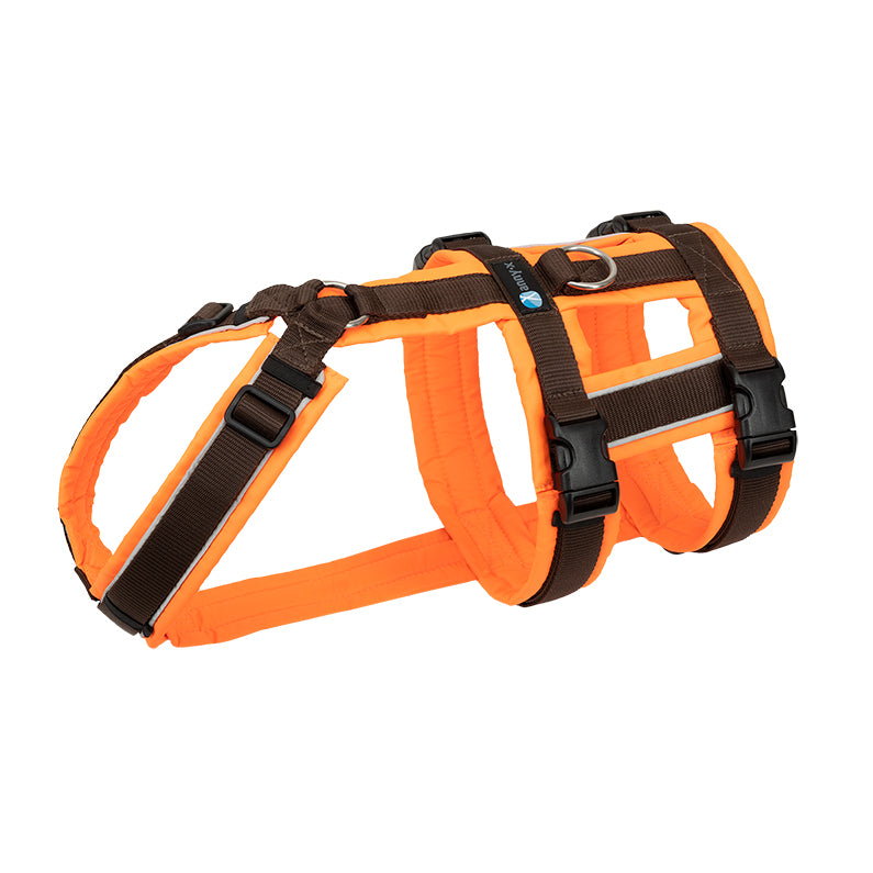 AnnyX Hundegeschirr Safety Fun (Diverse Farben)