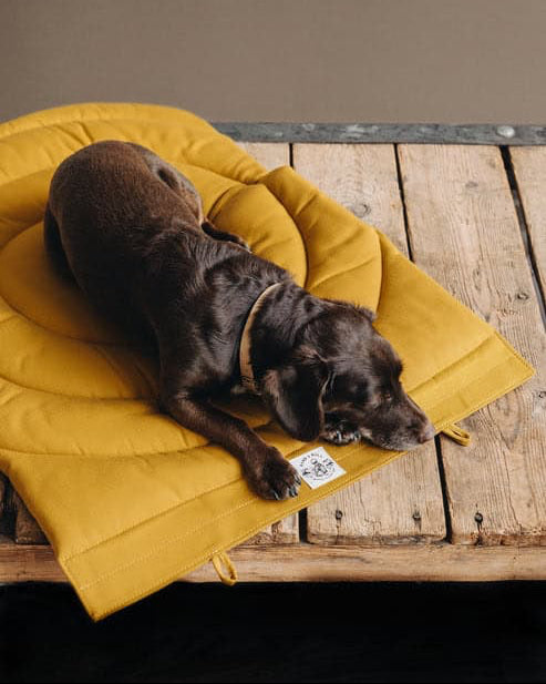Band&Roll Dog Blanket Compass