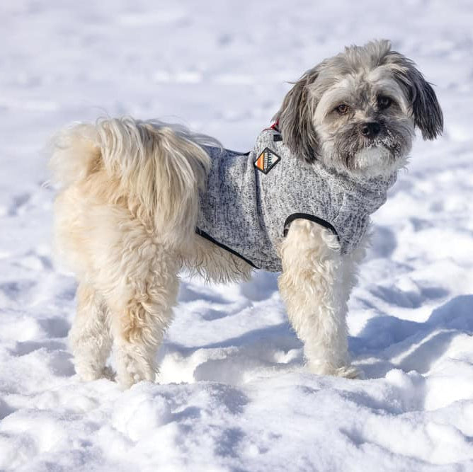 Beeztees Hundepullover Celia Hellgrau