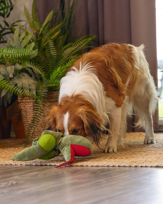 Beeztees Kani Snake Toy