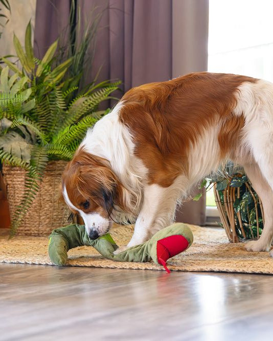Beeztees Kani Snake Toy