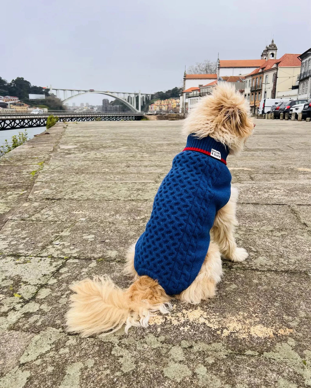 Brook&Bark Dog Sweater Stavos Blue