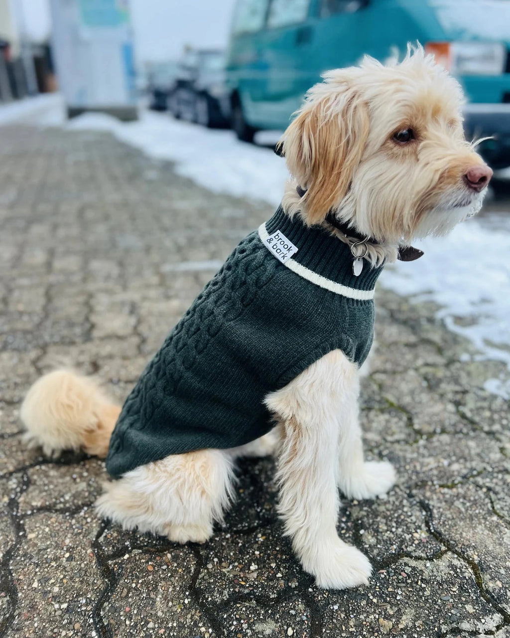 Brook&Bark Hundepullover Stavos Olive