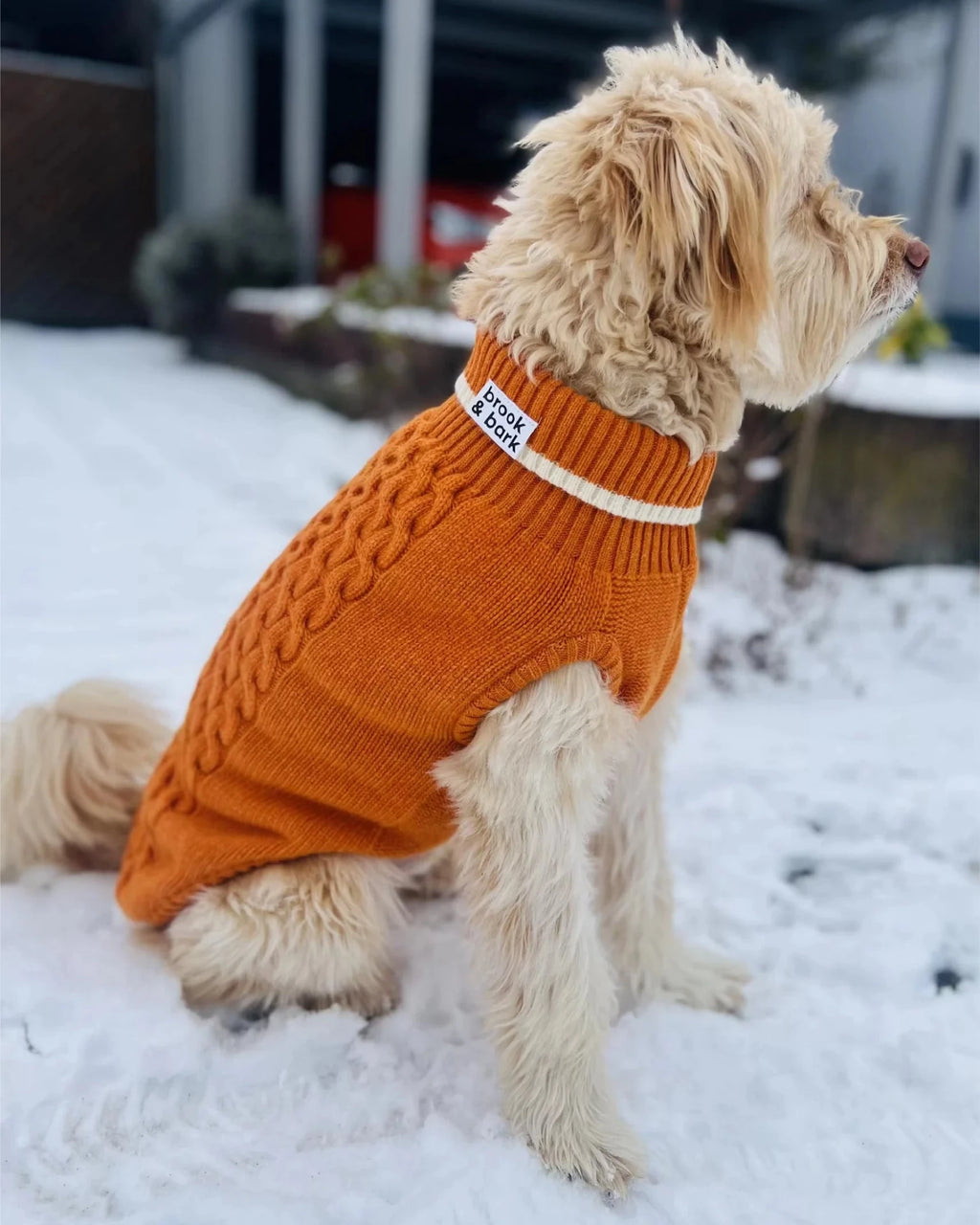 Brook&Bark Dog Sweater Stavos Orange