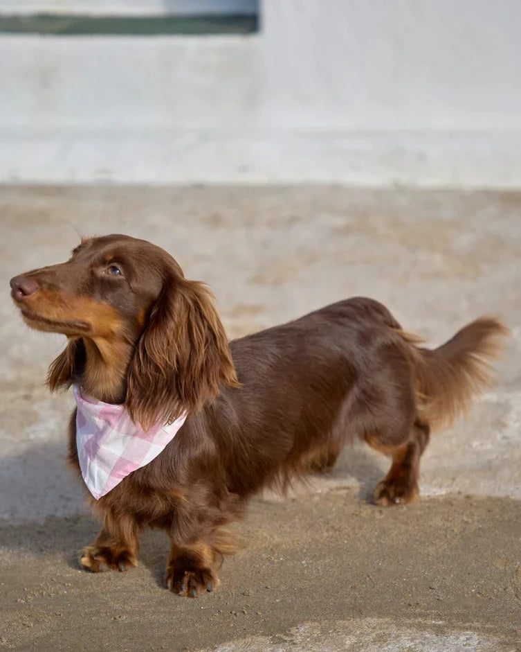 CAFIDE Bandana Vichy Pink