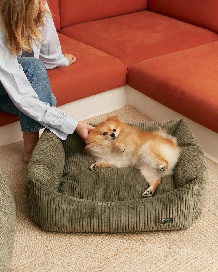 CAFIDE Hundebett Snozy Cord Grün