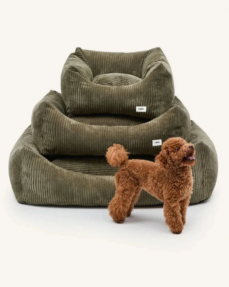 CAFIDE Dog Bed Snozy Corduroy Green