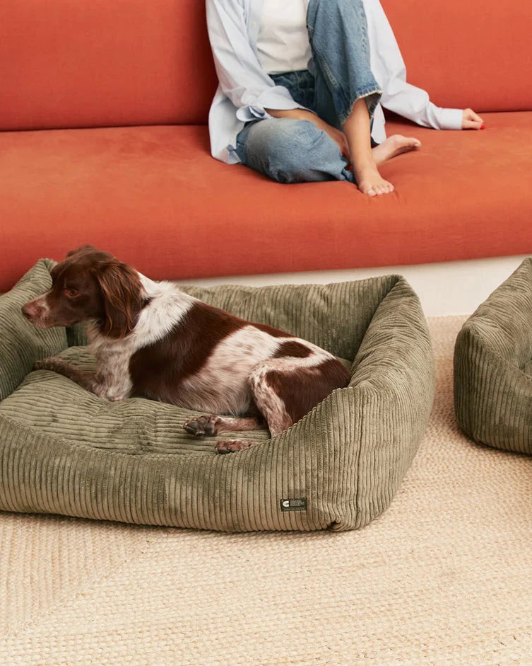 CAFIDE Hundebett Snozy Cord Grün