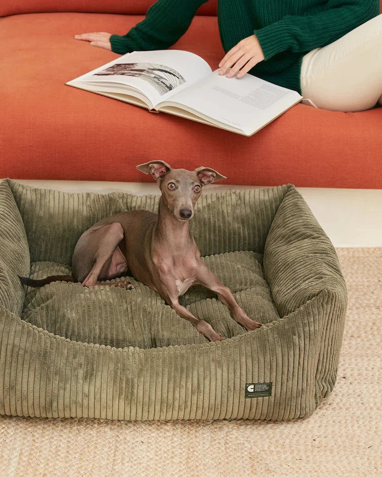 CAFIDE Dog Bed Snozy Corduroy Green