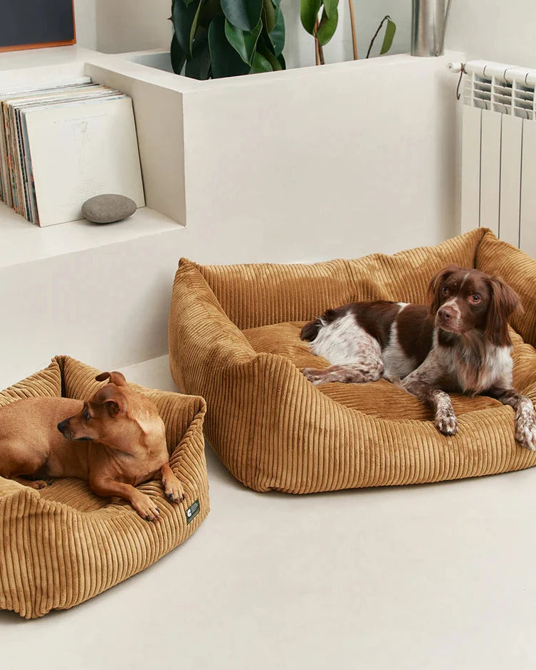 CAFIDE Hundebett Snozy Cord Senf