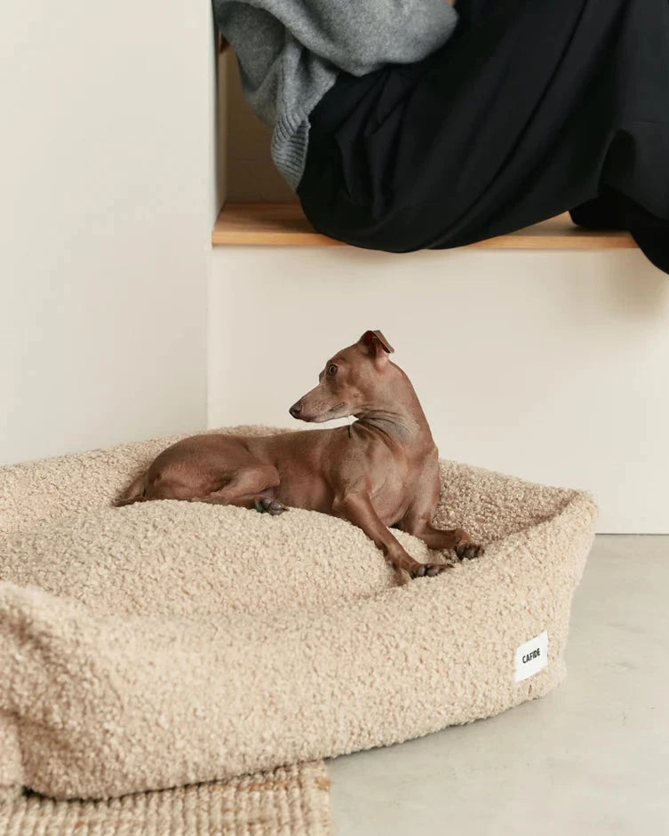 CAFIDE Hundebett Snozy Teddy Beige