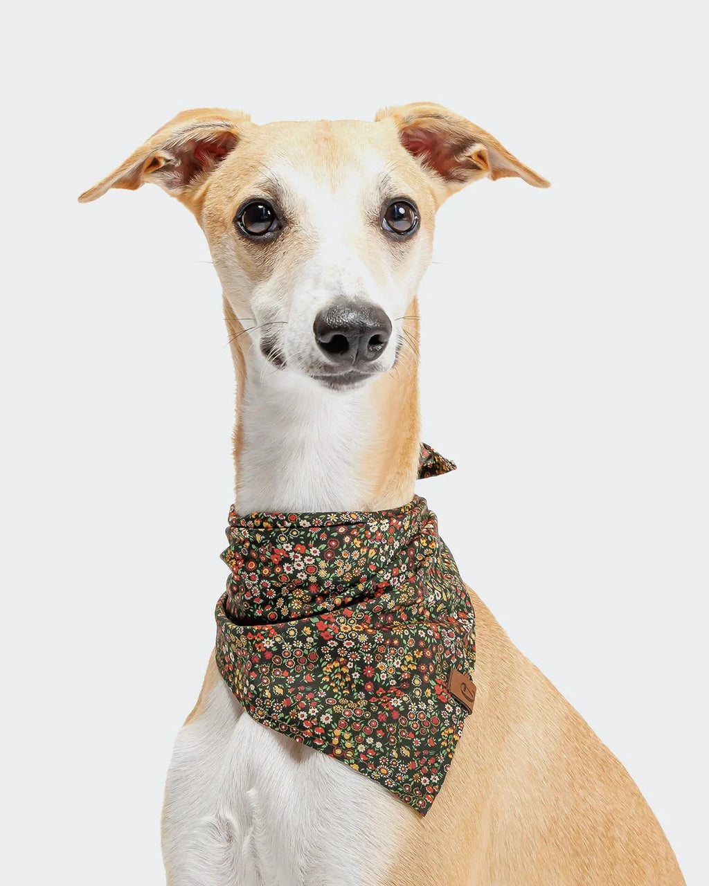 CLOUD7 Bandana Botanical Night