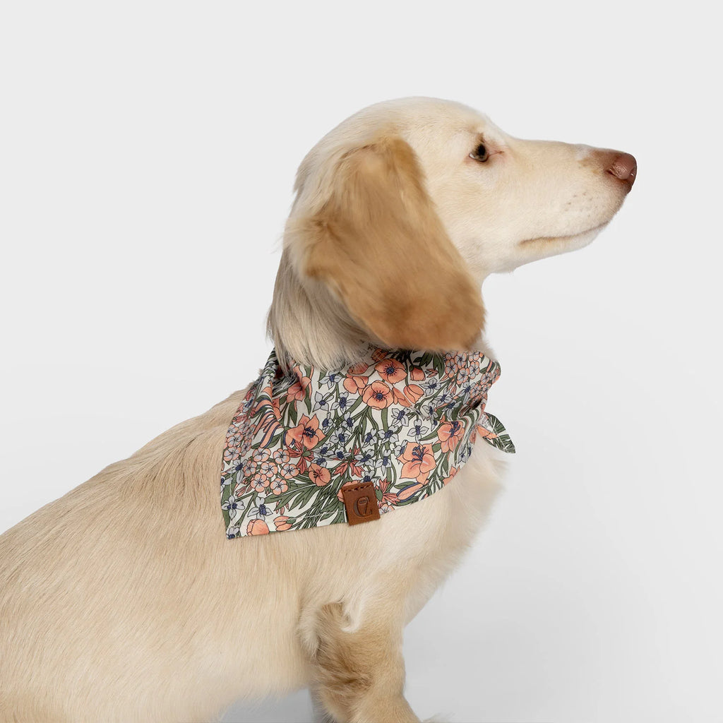 CLOUD7 Bandana LTTL Blossoms