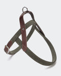 CLOUD7 Tivoli Olive Harness
