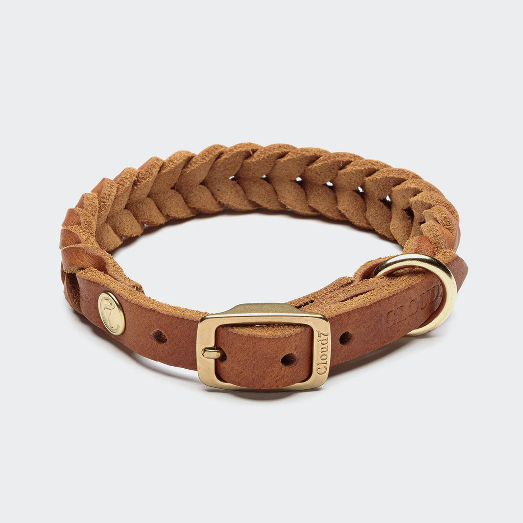 CLOUD7 Dog Collar Central Park Camel