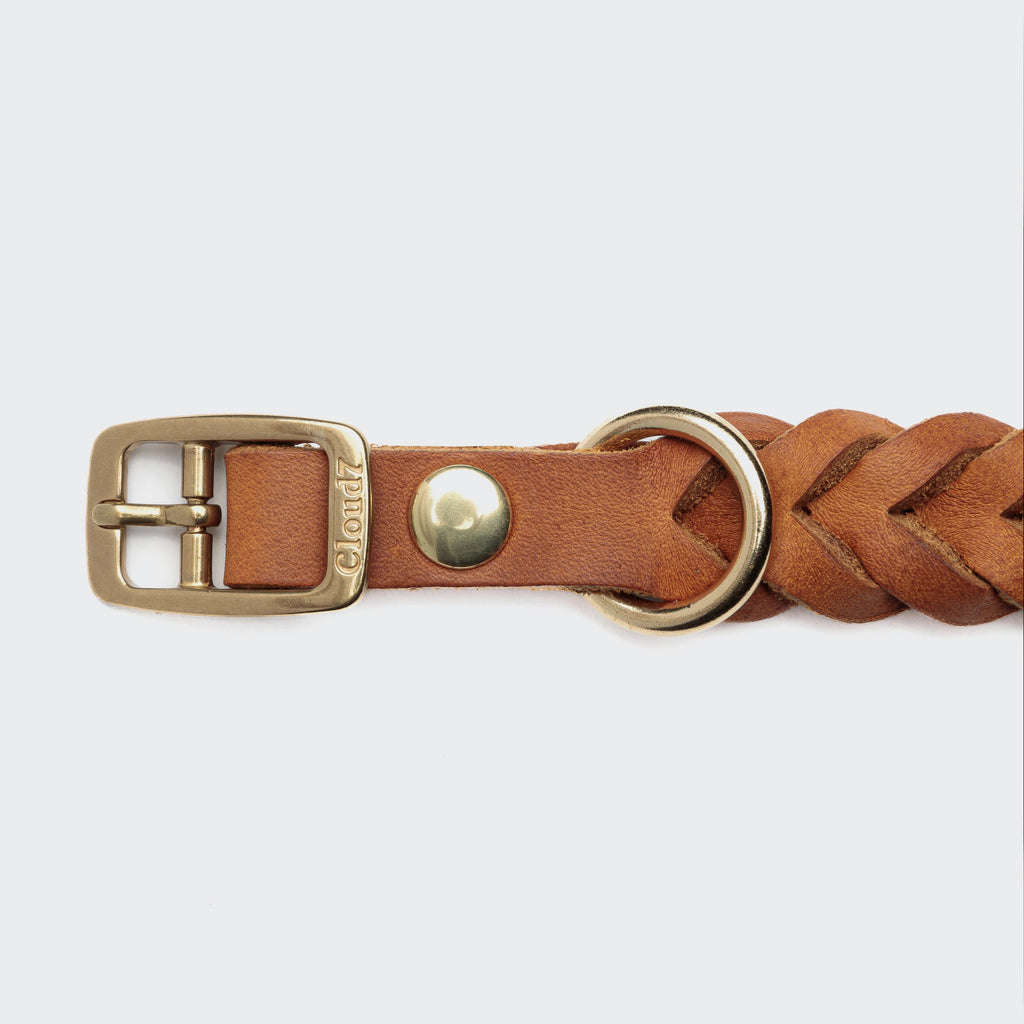 CLOUD7 Dog Collar Central Park Camel