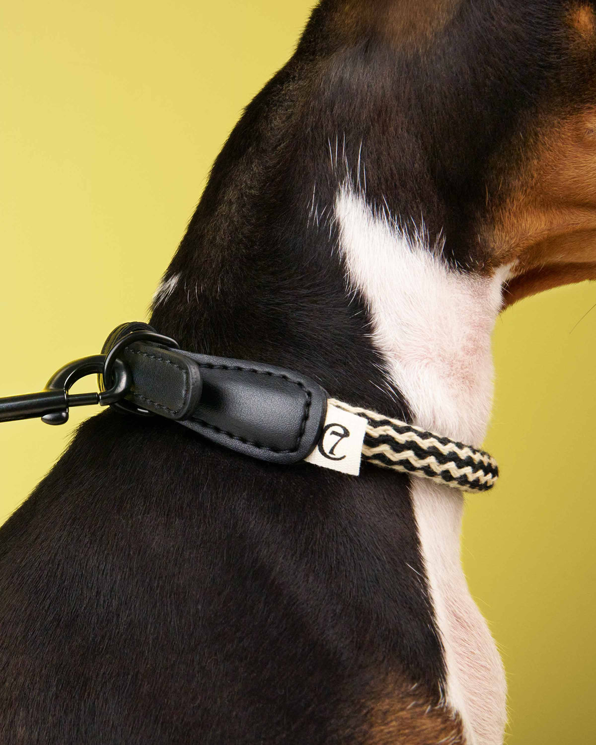 CLOUD7 Dog Collar Mauerpark Zigzag Black