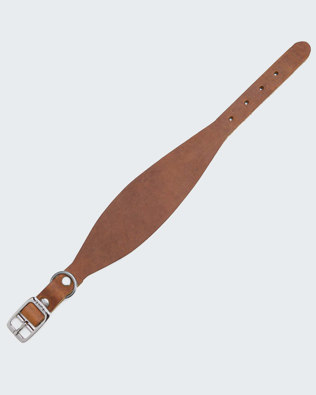 CLOUD7 Dog Collar Regent Park GREYHOUND Camel