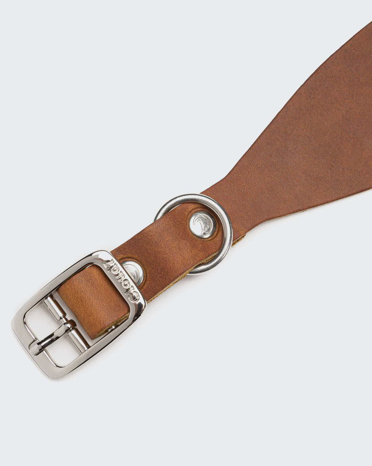 CLOUD7 Dog Collar Regent Park GREYHOUND Camel