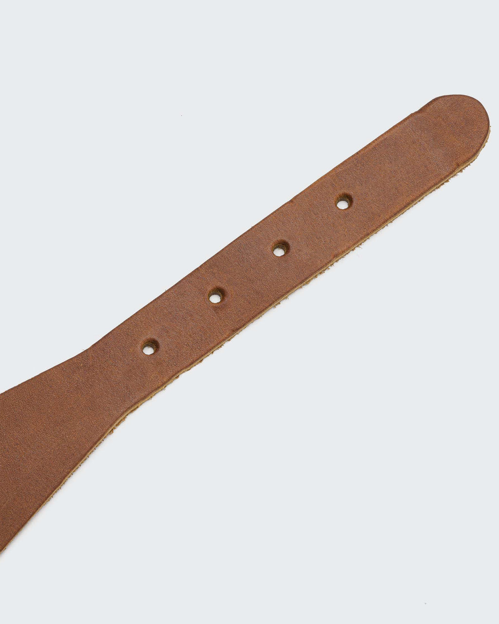 CLOUD7 Dog Collar Regent Park GREYHOUND Camel