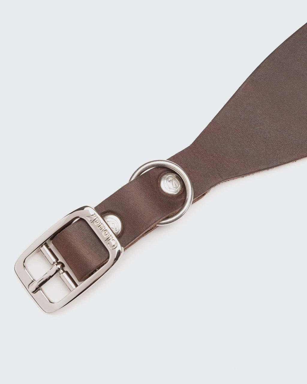 CLOUD7 Collar Regent Park GREYHOUND Saddle Brown