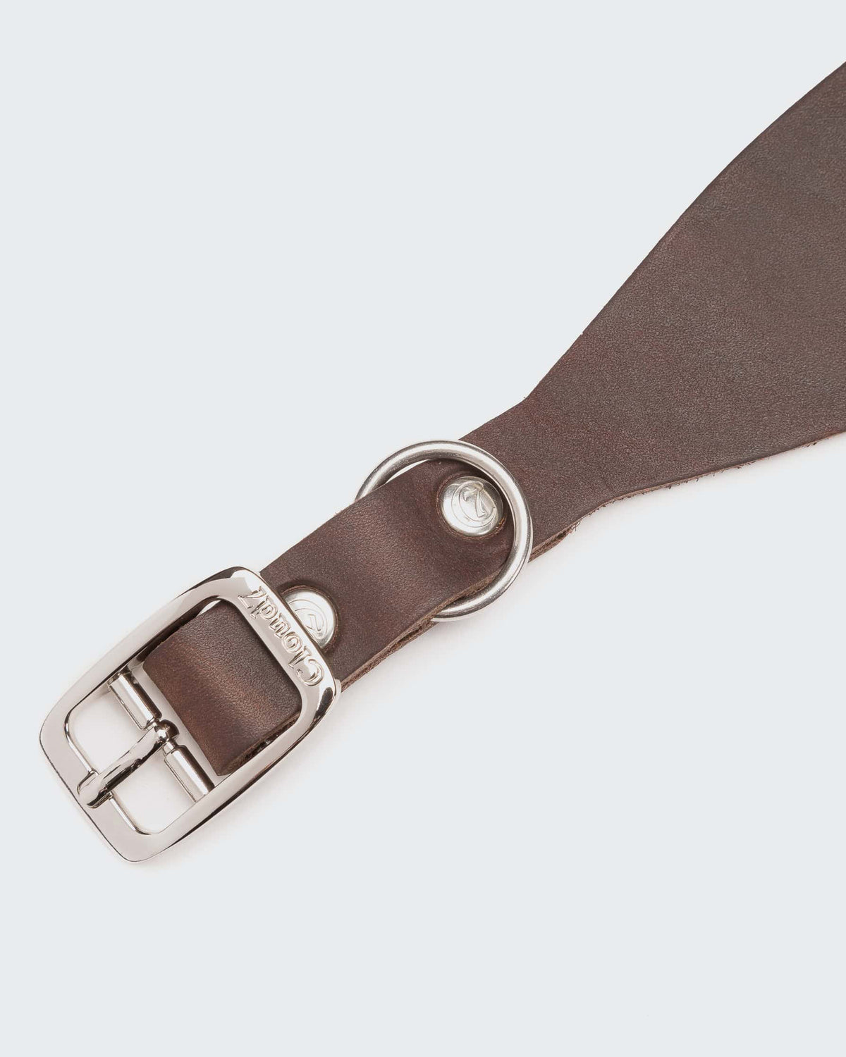 CLOUD7 Collar Regent Park GREYHOUND Saddle Brown