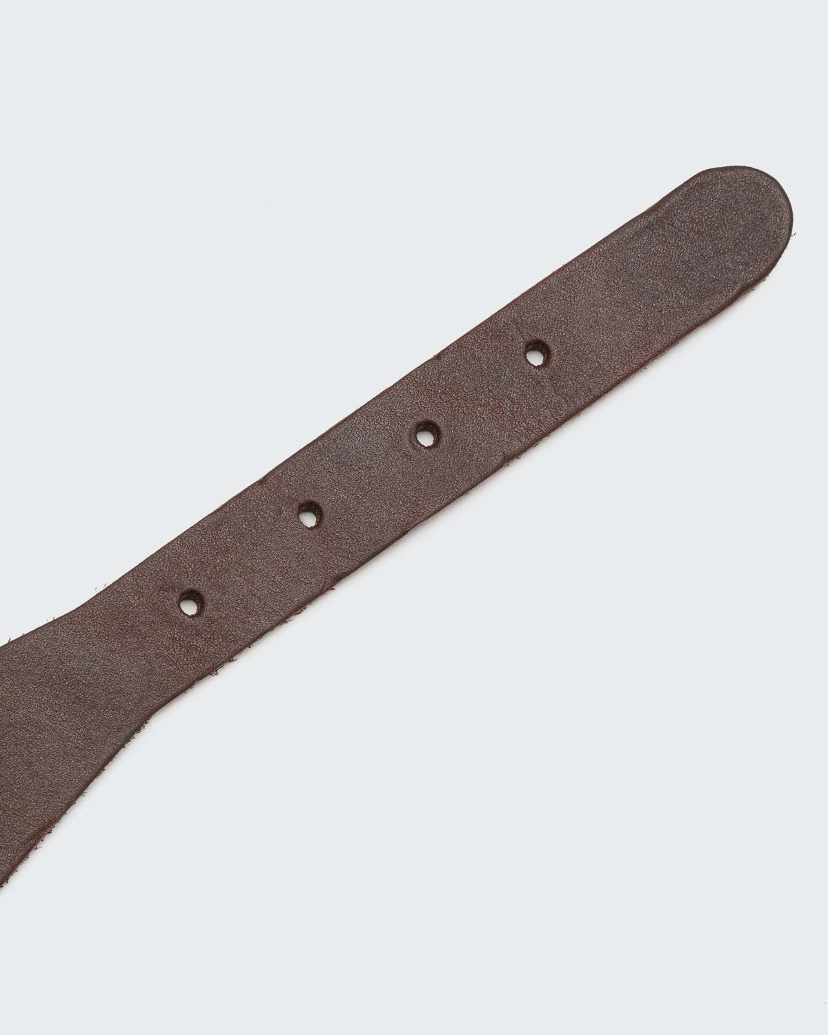 CLOUD7 Collar Regent Park GREYHOUND Saddle Brown