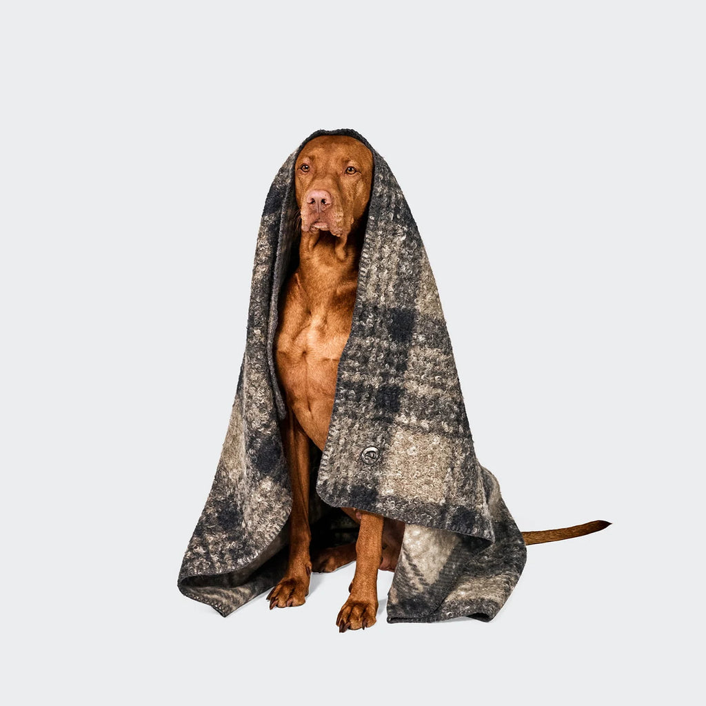 CLOUD7 Hundedecke Bouclé Tartan