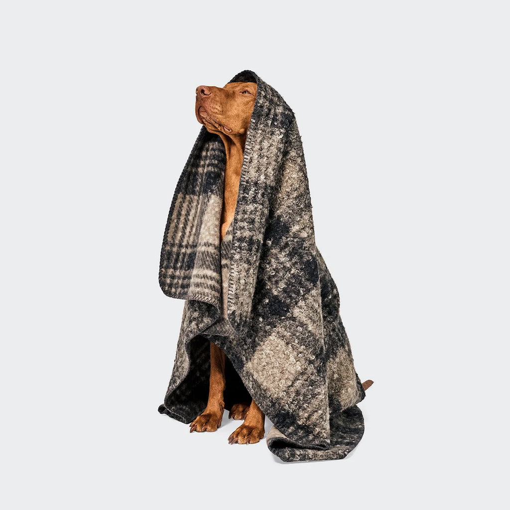 CLOUD7 Hundedecke Bouclé Tartan