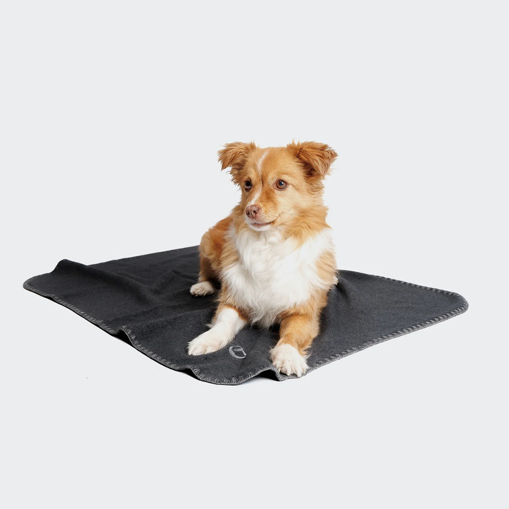 CLOUD7 Dog Blanket Fleece Anthra