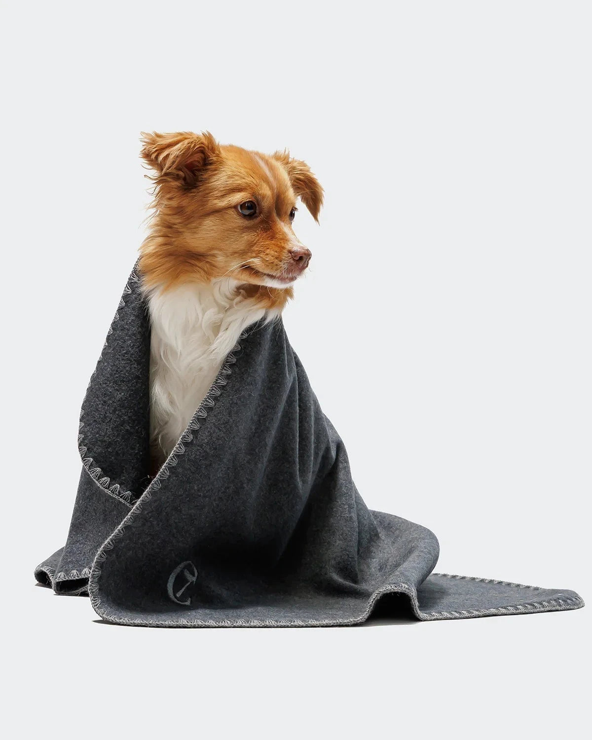 CLOUD7 Hundedecke Fleece Anthra