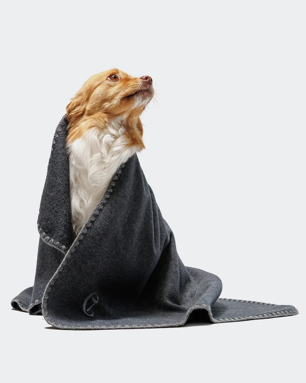 CLOUD7 Dog Blanket Fleece Anthra