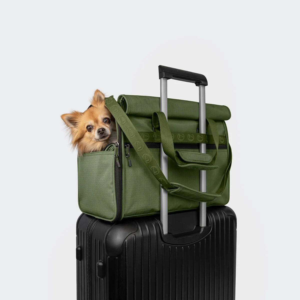CLOUD7 Hundeflugtasche AKTIV Olive