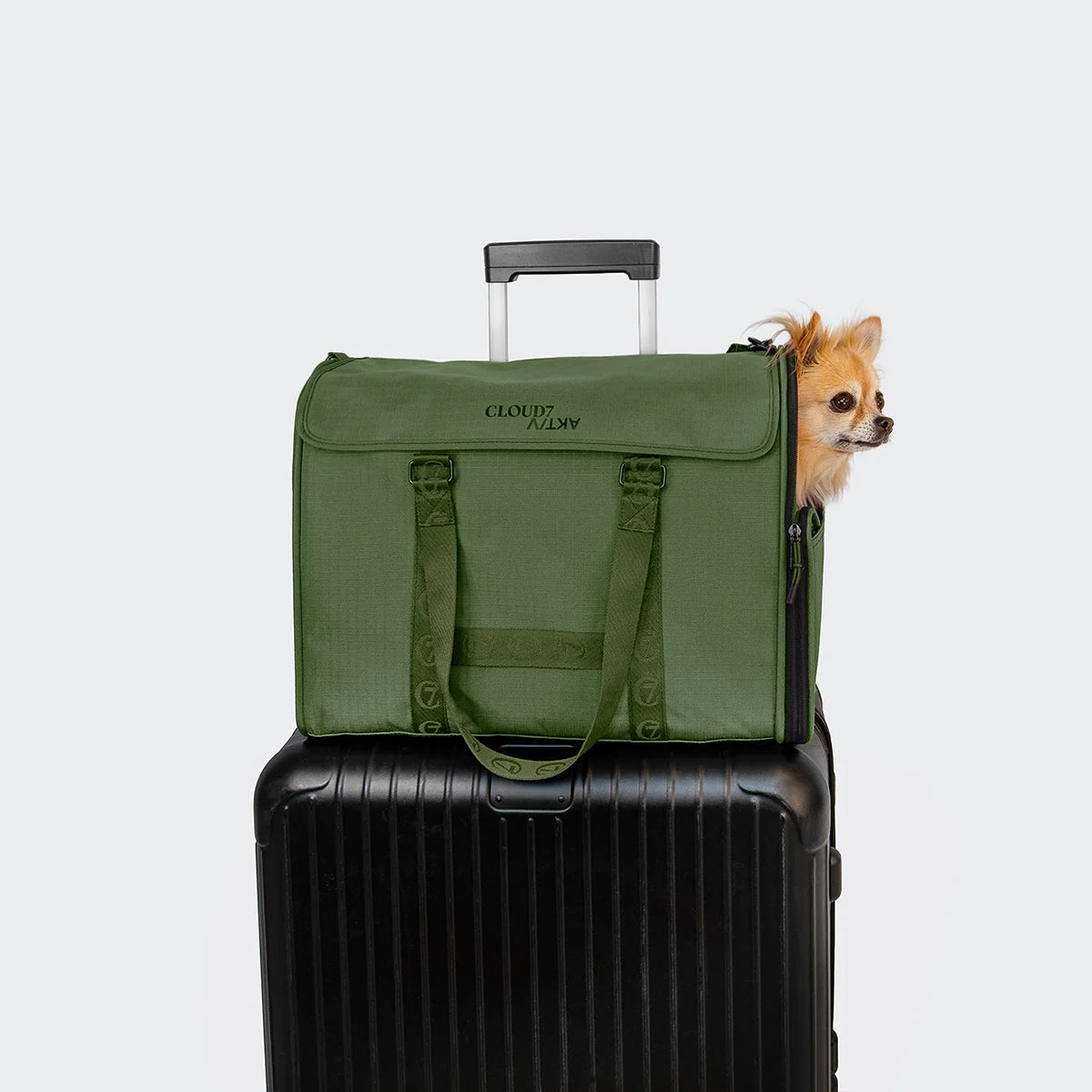 CLOUD7 Hundeflugtasche AKTIV Olive