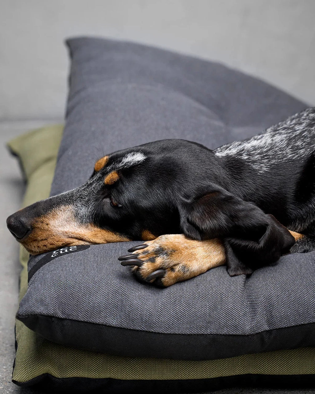 CLOUD7 Dog Bed RESC7UE Anthracite